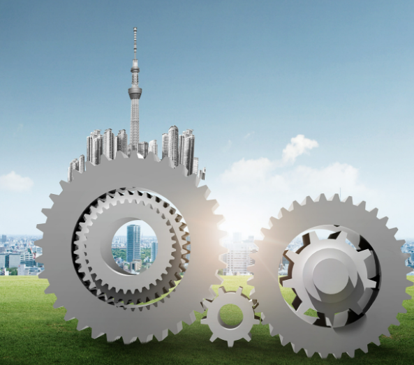2024年滁州绿化苗木市场价格走势与批量采购策略分析